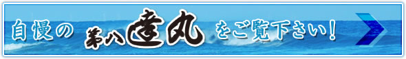 自慢の第八達丸をご覧下さい。